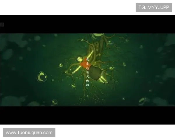 生死门:100%深度解读,让你看懂那些被忽略的感人瞬间 生死门:100%深度解读,让你看懂那些被忽略的感人瞬间