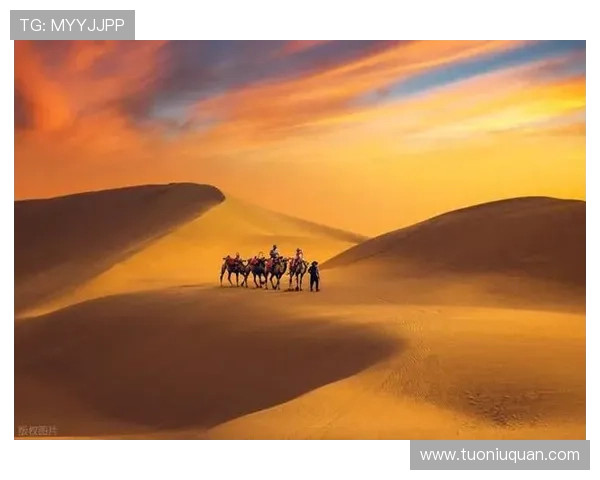 漠上风云：沙海驼铃，岁月峥嵘