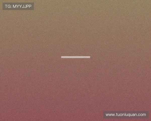 《极速前进第十四季》：一场心跳与智慧的终极较量