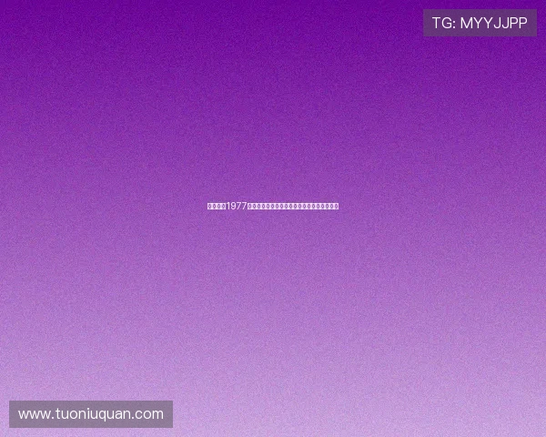 国际机场1977：一场穿越时空的飞行，重返黄金年代的璀璨