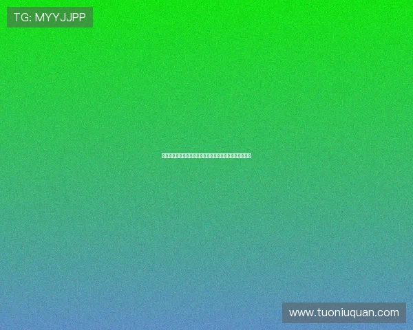 暴走四壮士：不羁灵魂的狂想曲，一场颠覆想象的冒险启程