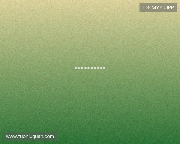 时代洪流中的“快速前进”：拥抱变化，驭风而行