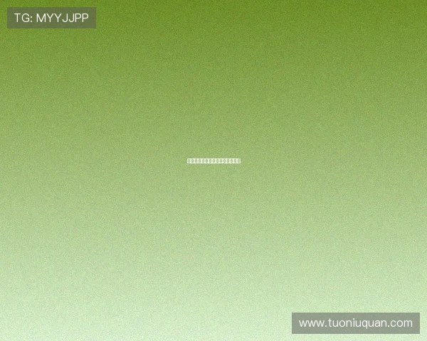 正义的承诺：点亮前行之路的微光